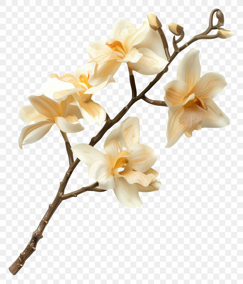 Vanilla Orchid Flowers - Yellow Orchid Flowers On Branch PNG