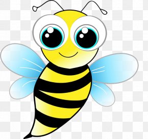 Bee - Bee Insect TeachersPayTeachers Clip Art PNG