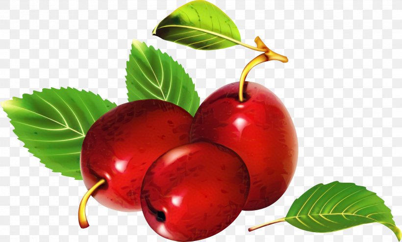 Cherry Blossom Tree, PNG, 3368x2032px, Plum, Berries, Berry, Cherries, Cherry Download Free
