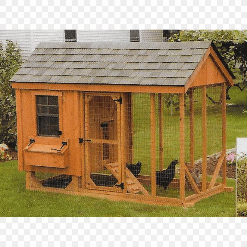 Chicken Coop Shed Building Farm, PNG, 900x900px, Chicken, Aframe House, Backyard, Barn, Building Download Free