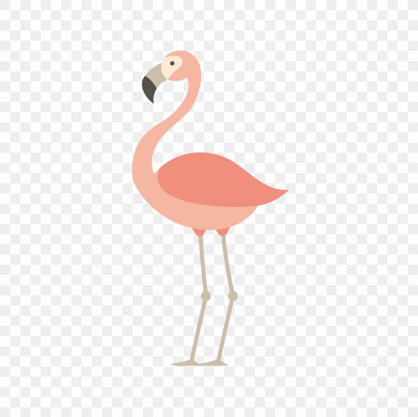Flamingos Bird Parrot Euclidean Vector, PNG, 2362x2362px, Flamingos, Beak, Bird, Flamingo, Geometric Shape Download Free