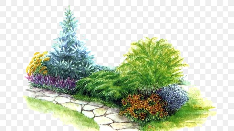 Landscape Design Bedding Garden Landscaping, PNG, 700x458px, Landscape Design, Bedding, Conifer, Evergreen, Exterieur Download Free