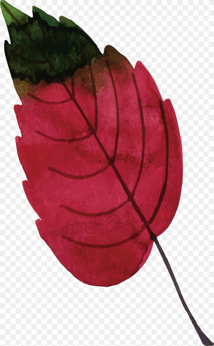 Leaf Fruit Biology Plant Structure Science, PNG, 1857x3000px, Watercolor Autumn, Biology, Colorful Leaf, Fruit, Leaf Download Free
