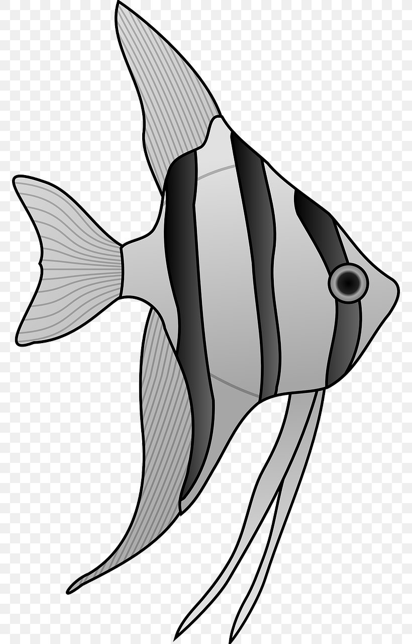 Pterophyllum Altum Fish Cartoon Drawing Clip Art, PNG, 772x1280px, Pterophyllum Altum, Angelfish, Animation, Aquarium, Art Download Free
