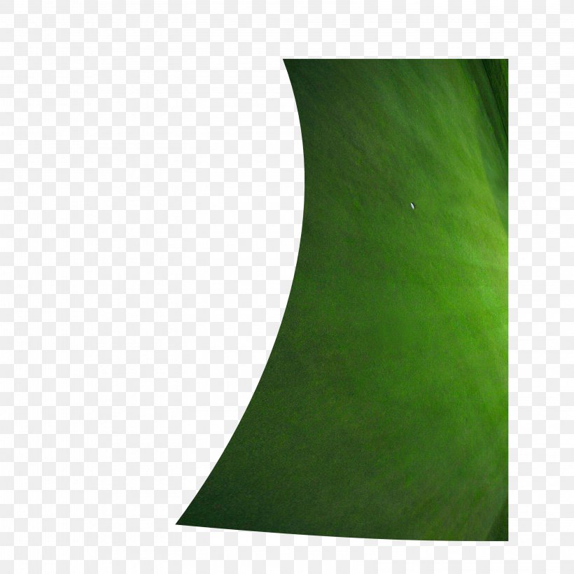 Green Leaf, PNG, 3150x3150px, Green, Grass, Leaf Download Free