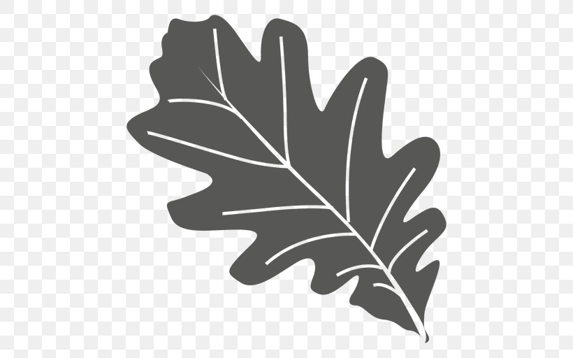 Leaf Oak, PNG, 512x512px, Leaf, Black And White, Flowering Plant, Hand, Monochrome Photography Download Free