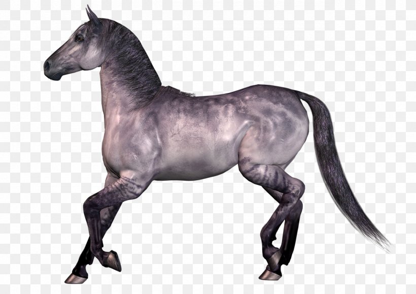 Mustang Horse Stallion Pack Animal, PNG, 1280x905px, Mustang, Animal, Animal Figure, Bit, Black Download Free