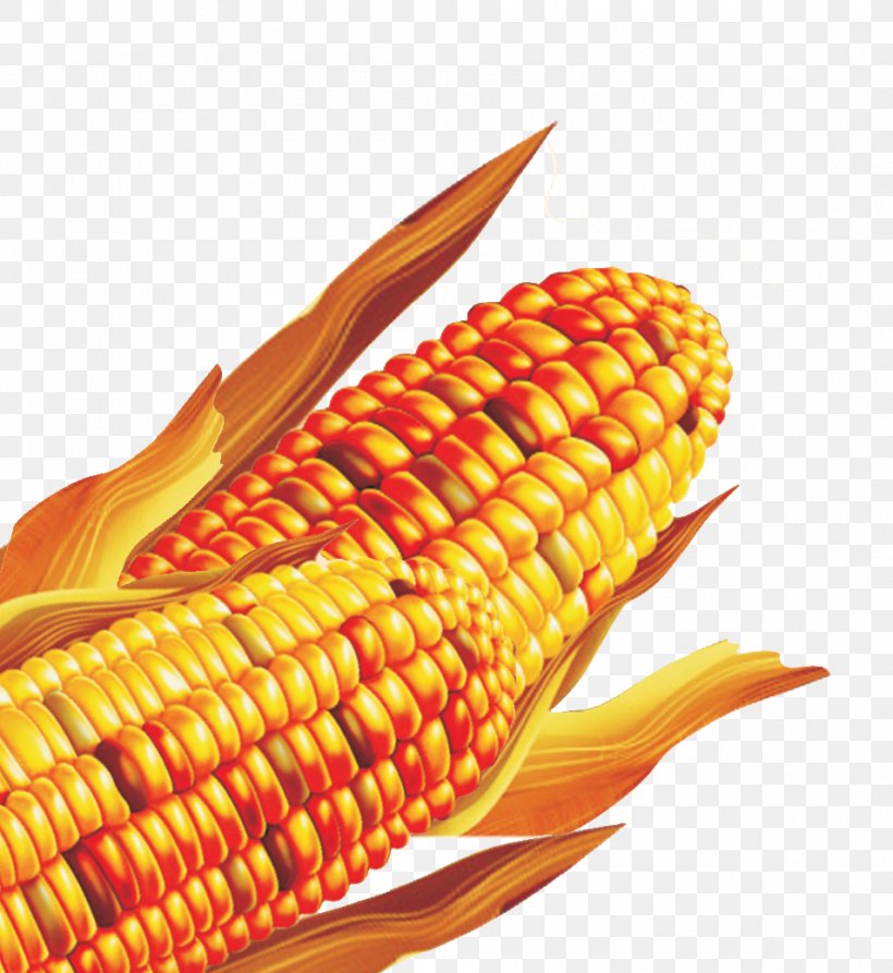 Corn On The Cob Maize Download, PNG, 953x1038px, Corn On The Cob, Cereal, Commodity, Corn Kernel, Corn Kernels Download Free