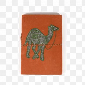 Giraffe - Dromedary Giraffe Paper Tapti River Mammal PNG