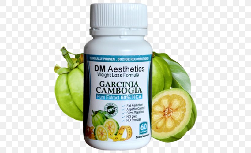 Garcinia Cambogia Aesthetics Weight Loss Extract Hydroxycitric Acid, PNG, 500x500px, Garcinia Cambogia, Aesthetics, Citric Acid, Citrus, Diet Download Free