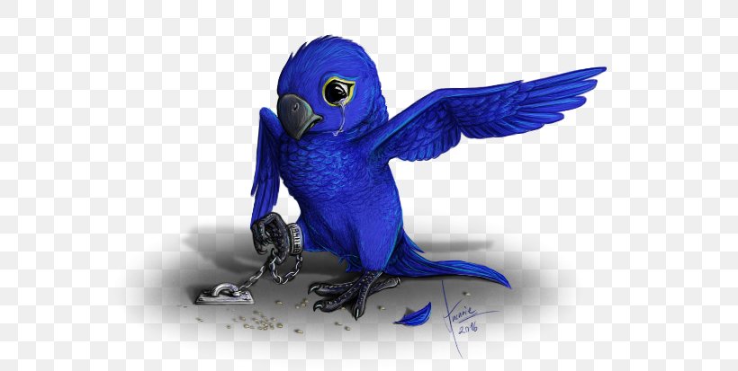 Macaw Parakeet Feather Beak Cobalt Blue, PNG, 606x413px, Macaw, Beak, Bird, Blue, Bluebird Download Free