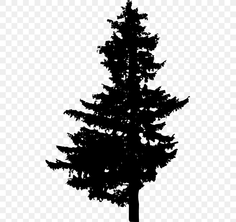 Pine Spruce Fir Christmas Tree, PNG, 503x771px, Pine, Black And White, Branch, Christmas Decoration, Christmas Ornament Download Free