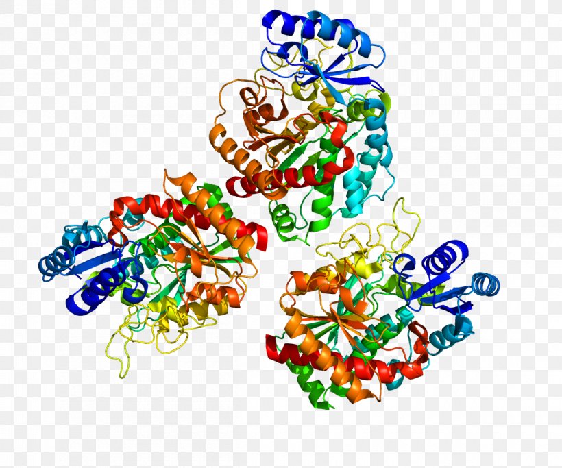 Carboxypeptidase B2 Fibrinolysis Thrombin, PNG, 1200x1000px, Carboxypeptidase, Active Site, Art, Cterminus, Cysteine Download Free