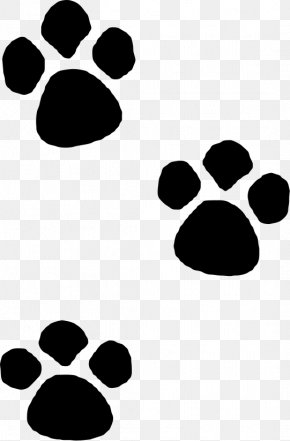 Cat - Cat Paw Drawing Dog Tiger PNG