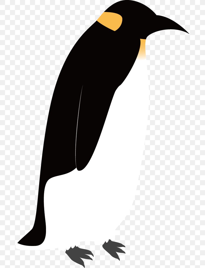 Emperor Penguin Bird Drawing, PNG, 696x1071px, Penguin, Beak, Bird, Black And White, Drawing Download Free