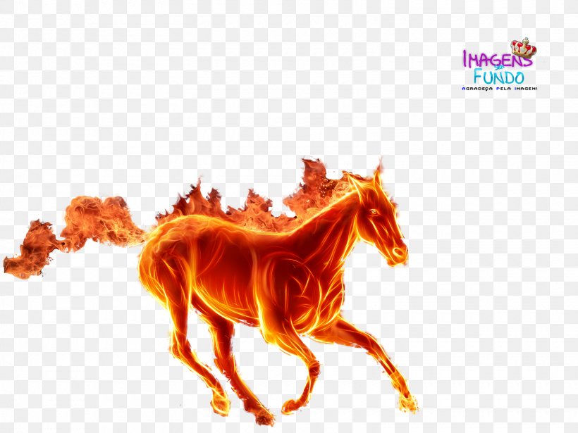 Horse Paper Pegasus Sticker Wallpaper, PNG, 1600x1200px, Horse, Animal Figure, Decal, Drawing, Game Download Free