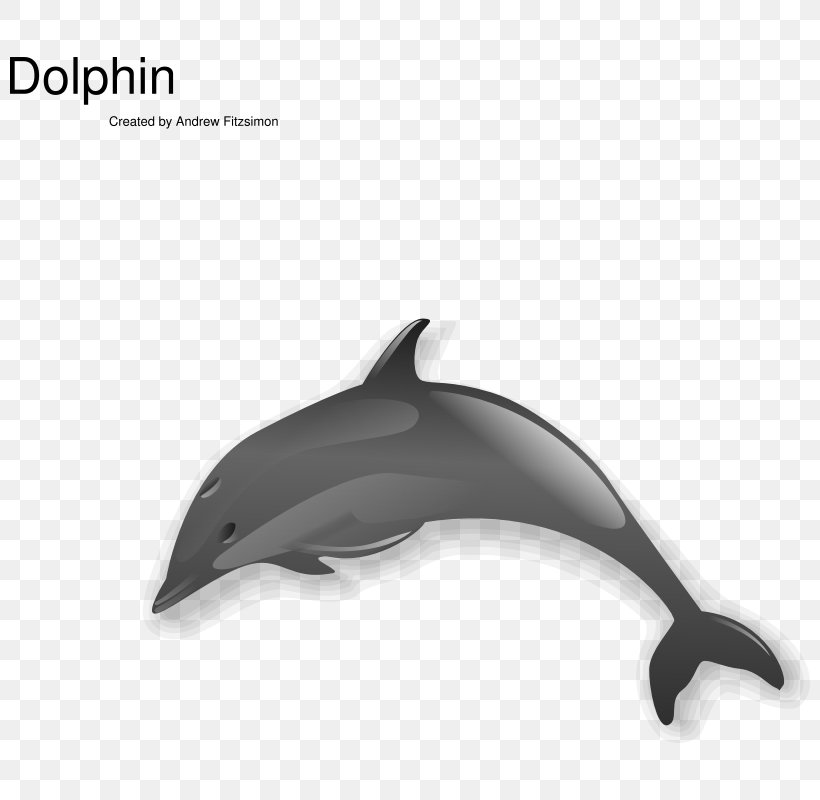 Spinner Dolphin Clip Art, PNG, 800x800px, Spinner Dolphin, Automotive Design, Blog, Bottlenose Dolphin, Chinese White Dolphin Download Free