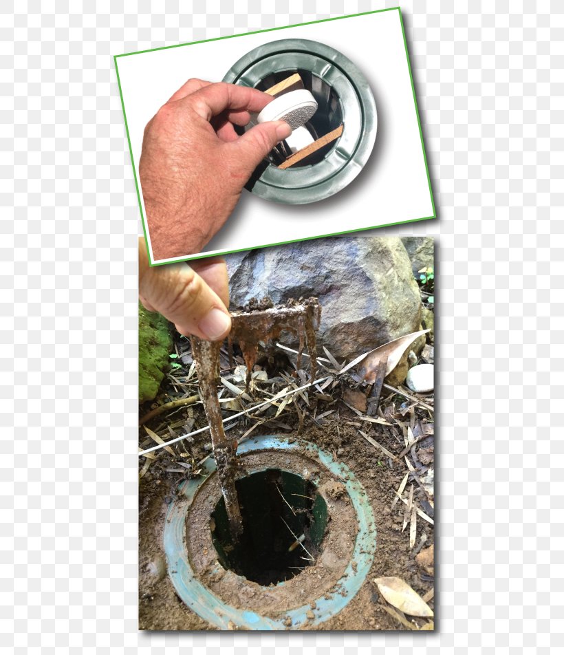 Termite Bait Soil Pest Control System, PNG, 500x952px, Termite, Automotive Tire, Bait, Do It Yourself, Pest Control Download Free