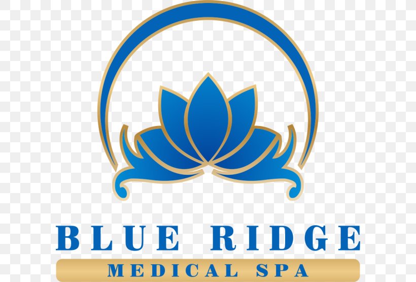 Blue Ridge Medical Spa Skin Care Medicine Health, PNG, 600x555px, Skin Care, Area, Artwork, Brand, Collagen Induction Therapy Download Free
