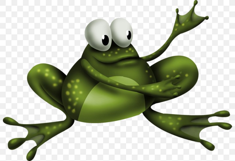 Frog Clip Art, PNG, 800x562px, Frog, Amphibian, Animal, Blog, Can Stock Photo Download Free