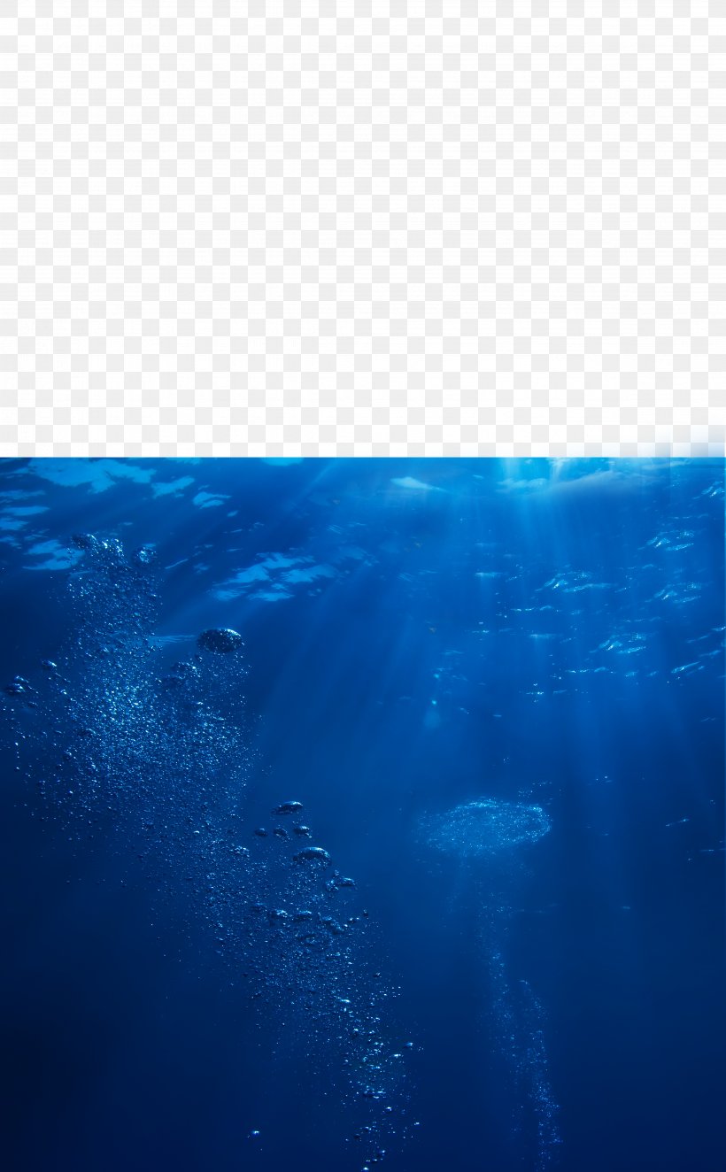 Seawater Ocean Deep Sea, PNG, 4724x7628px, Water, Aqua, Azure, Biology, Blue Download Free