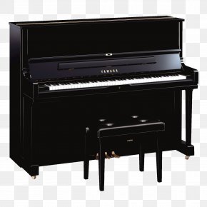 Piano - Upright Piano Yamaha Corporation Digital Piano Pianist PNG