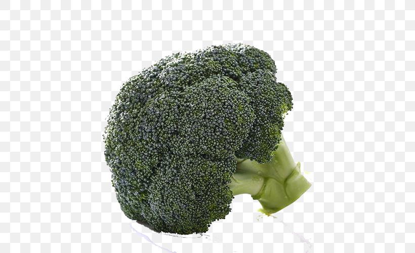 Broccoli Vegetable Organic Food Tomato, PNG, 500x500px, Broccoli, Bell Pepper, Cabbage, Carrot, Daikon Download Free