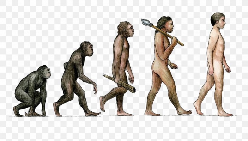 Earth Tobias Fxfcnke Homo Sapiens Evolution Male, PNG, 1024x582px, Watercolor, Cartoon, Flower, Frame, Heart Download Free