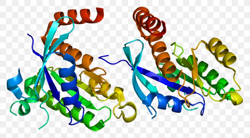 G Protein Gene RAP2A GEM, PNG, 936x520px, Watercolor, Cartoon, Flower, Frame, Heart Download Free