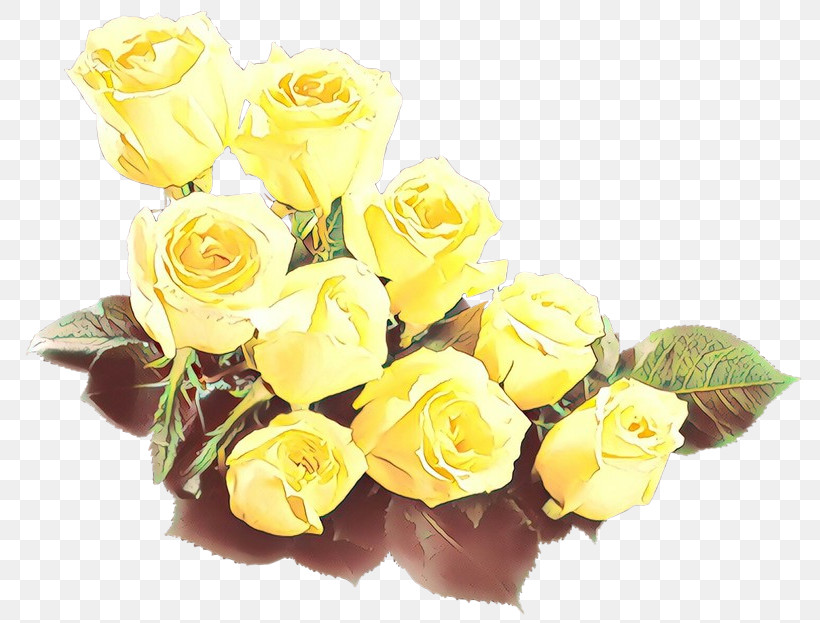 Garden Roses, PNG, 800x623px, Flower, Bouquet, Cut Flowers, Floribunda, Garden Roses Download Free