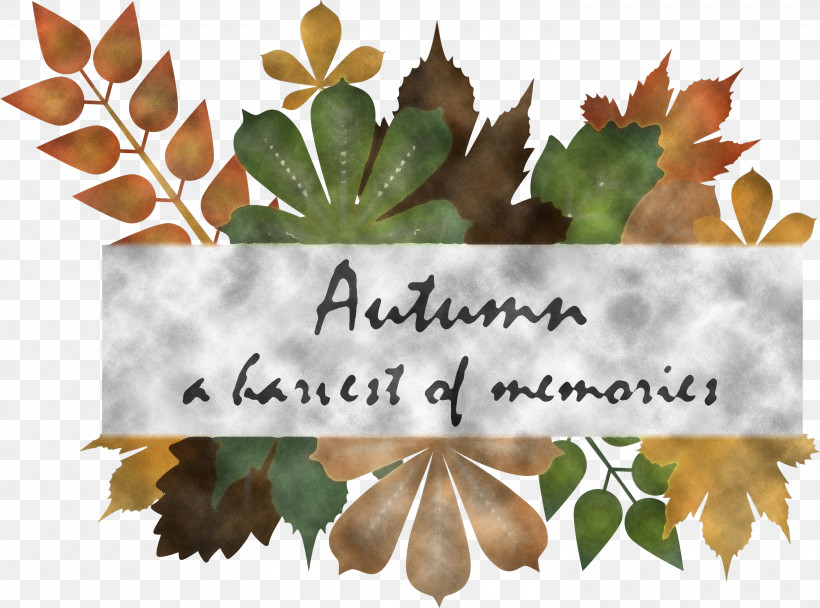 Hello Autumn Happy Fall Autumn Background, PNG, 3000x2225px, Hello Autumn, Autumn Background, Biology, Happy Fall, Law Download Free