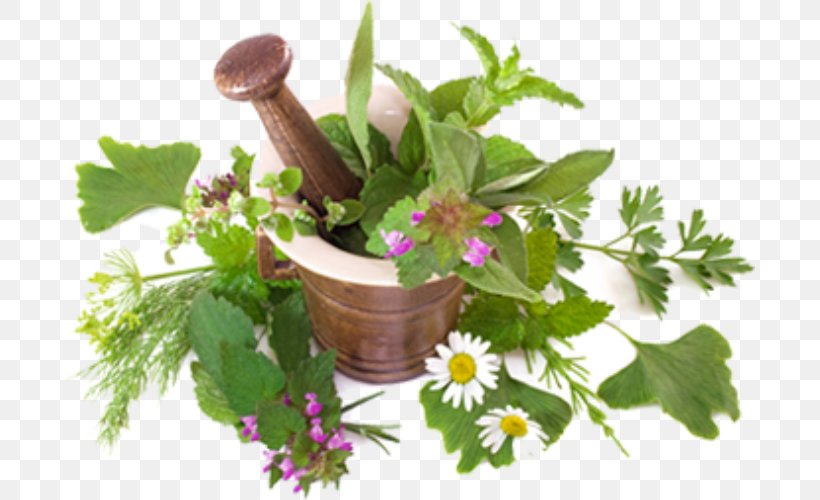 Ayurveda Herbs Medicinal Plants Medicine The Herbalist, PNG, 691x500px, Herb, Ayurveda, Ayurveda Herbs, Chronic Kidney Disease, Cure Download Free