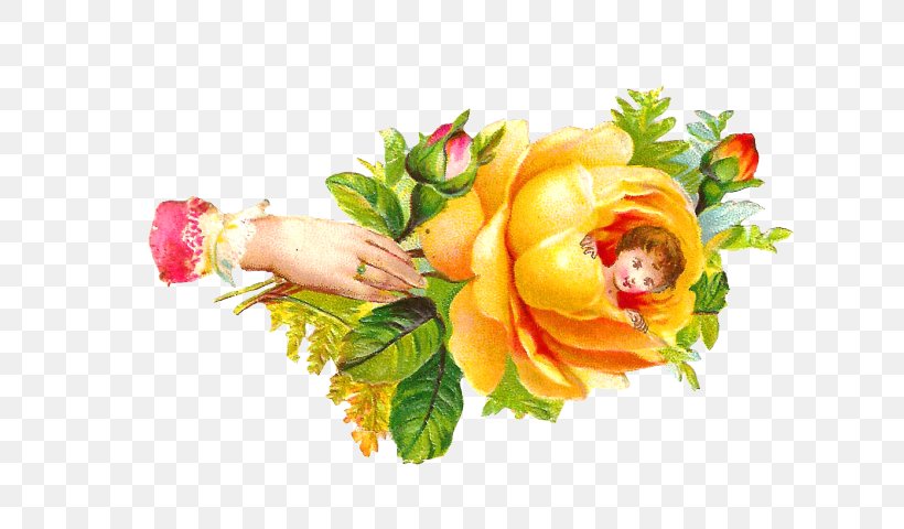 Clip Art Garden Roses Rose Family Image Design, PNG, 640x480px, Garden Roses, Artificial Flower, Black, Bouquet, Cabbage Rose Download Free