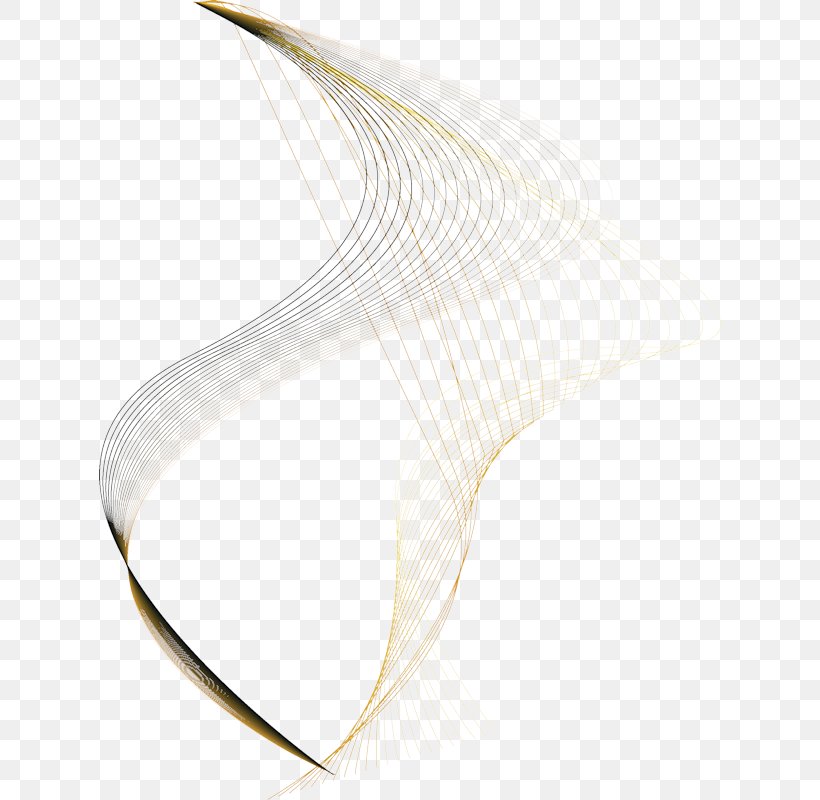 Line, PNG, 622x800px, Wing Download Free