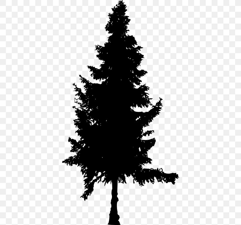 Spruce Fir Pine Christmas Tree, PNG, 398x763px, Spruce, Black And White, Branch, Cedar, Christmas Decoration Download Free