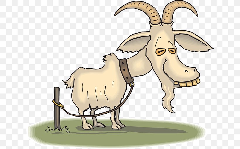 Boer Goat Sheep Cartoon Goat Farming, PNG, 640x510px, Boer Goat, Cartoon, Cattle Like Mammal, Cow Goat Family, Donkey Download Free