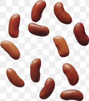 Kidney - Common Bean Kidney Bean Pea Food PNG