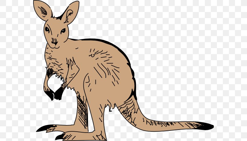 Kangaroo Free Content Clip Art, PNG, 600x469px, Kangaroo, Computer, Fauna, Free Content, Macropodidae Download Free