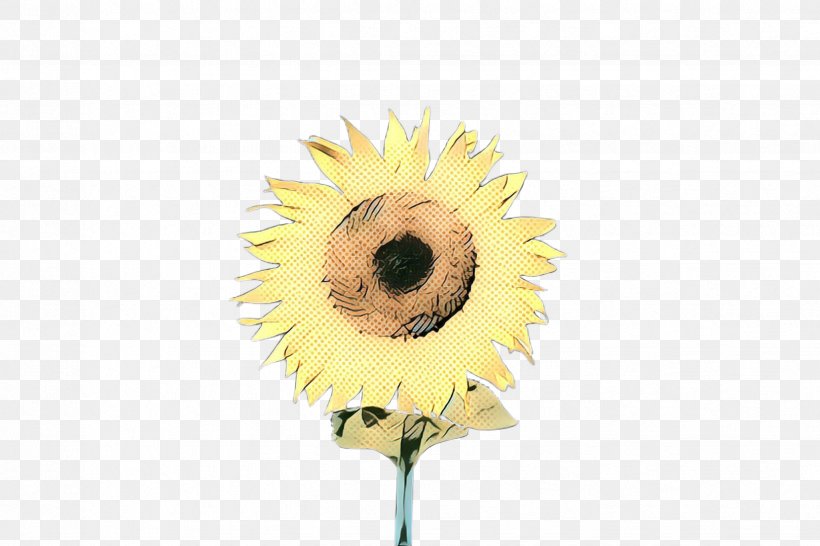 Sunflower, PNG, 2448x1632px, Pop Art, Cut Flowers, Eye, Flower, Gerbera Download Free