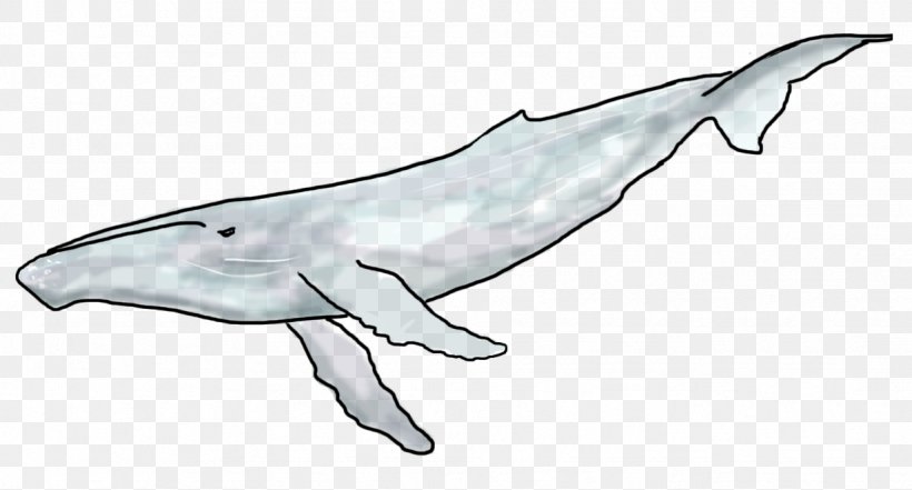 Common Bottlenose Dolphin Tucuxi Rough-toothed Dolphin White-beaked Dolphin, PNG, 1231x663px, Common Bottlenose Dolphin, Animal, Animal Figure, Artwork, Automotive Design Download Free