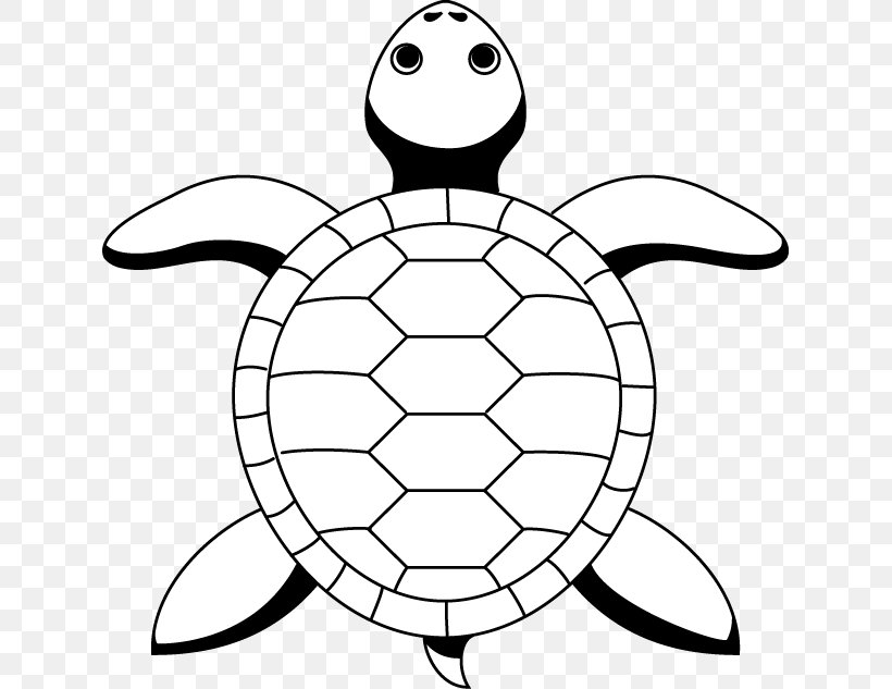 Sea Turtle Tortoise Line Art Drawing, PNG, 632x633px, Turtle, Area, Art, Artwork, Ball Download Free
