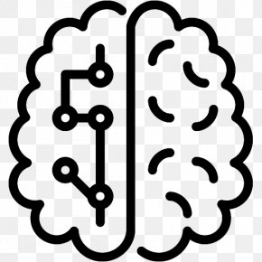 Business Analytics - Brain Spinal Cord PNG