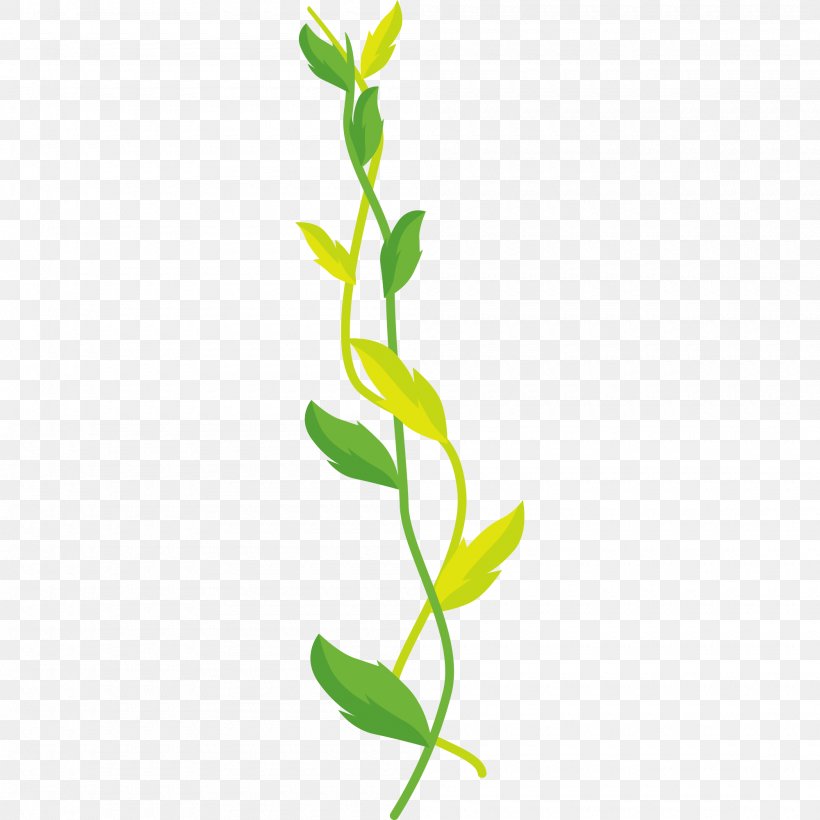 Green Design Graphics Plants Leaf, PNG, 2000x2000px, Green, Branch, Calameae, Color, Flora Download Free