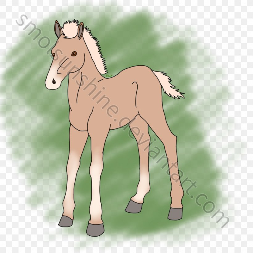 Mule Foal Mustang Stallion Mare, PNG, 894x894px, Mule, Animal Figure, Bridle, Cartoon, Colt Download Free