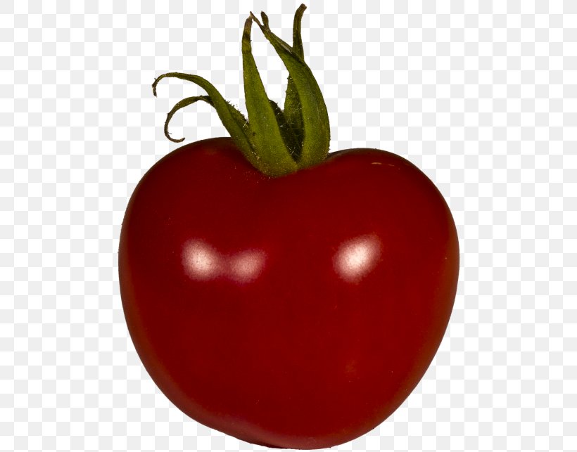 Tomato Cartoon, PNG, 500x643px, Plum Tomato, Aubergines, Bush Tomato, Cherry Tomatoes, Food Download Free