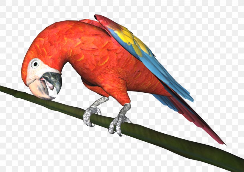 Budgerigar Macaw Parrot Bird Parakeet, PNG, 1280x905px, Budgerigar, Animal, Beak, Bird, Common Pet Parakeet Download Free