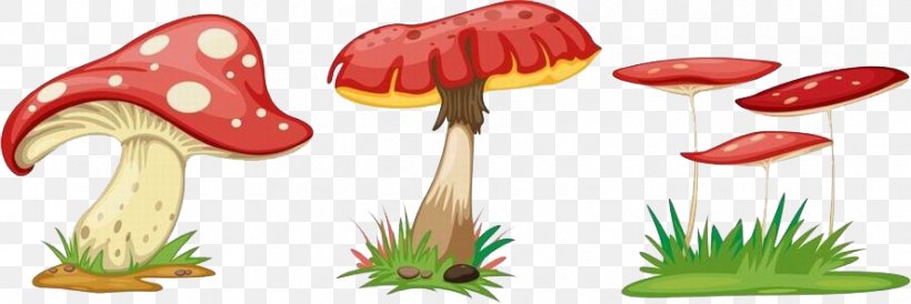Fungus Cartoon Mushroom, PNG, 888x297px, Fungus, Art, Cartoon, Copywriting, Creativity Download Free