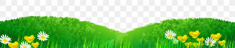 Lawn, PNG, 3641x752px, Lawn, Commodity, Computer, Energy, Grass Download Free