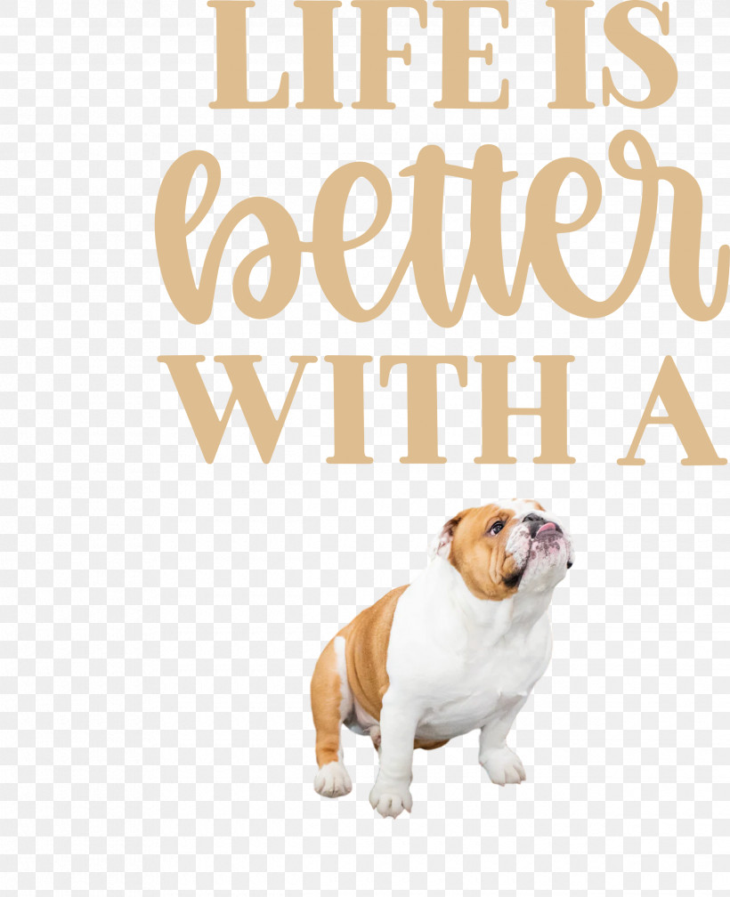 Life Better, PNG, 2440x3000px, Life, Better, Breed, Crossbreed, Dog Download Free