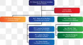 Organizational Chart Empresa Industry Project Management, PNG, 1020x640px, Organizational  Chart, Brand, Communication, Diagram, Empresa Download Free